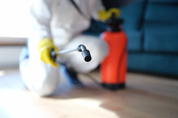 Best Basement Mold Removal  in Lake Como, NJ